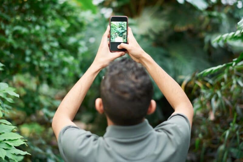 Aplicación para identificar y cuidar tus plantas fácilmente
