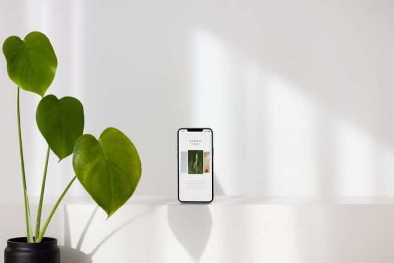 App para identificar y cuidar plantas fácilmente