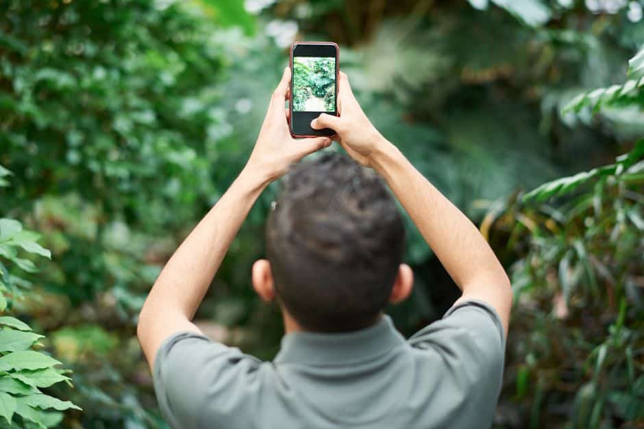 Aplicación para identificar y cuidar tus plantas fácilmente