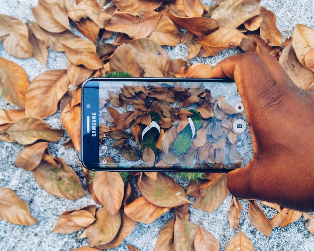 App móvil para identificar y cuidar tus plantas