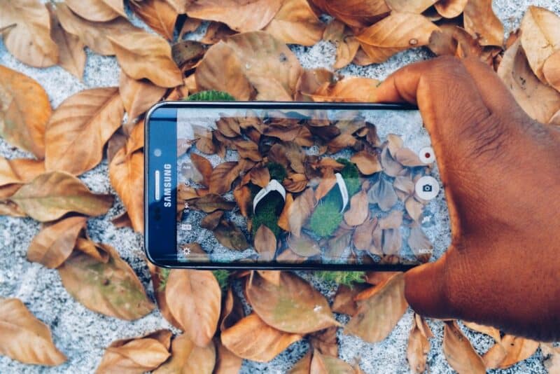 Aplicación para cuidar e identificar plantas fácilmente